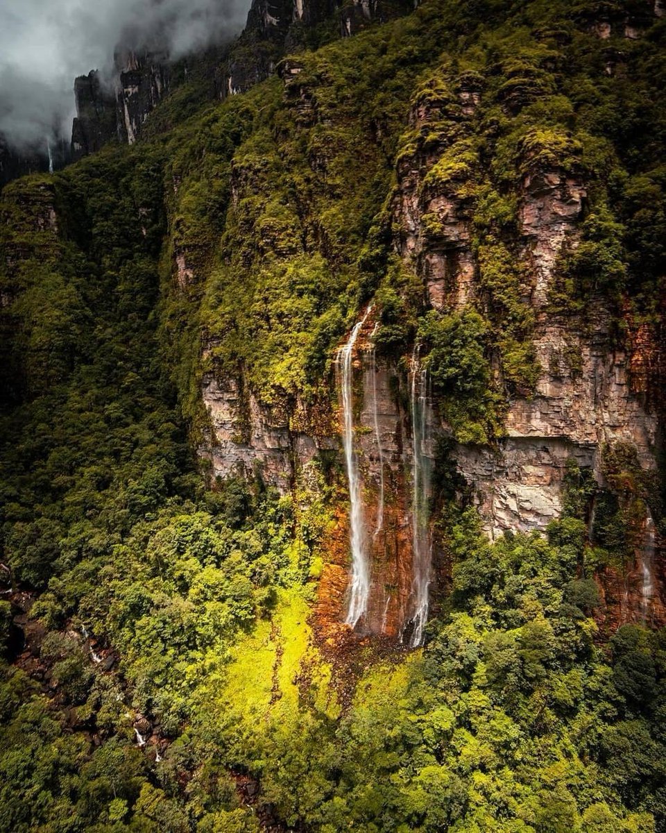 ¡Hagamos del mundo 🌎 un lugar mejor para Viajar! 💚 🌱

El turismo nos invita a conocer, descubrir y vivir inolvidables experiencias 💚 en lugares tan mágicos como Canaima 🇻🇪

¡Feliz Día Mundial 🌎 del Turismo!

instagram.com/p/CUVcTbYPLFr/…