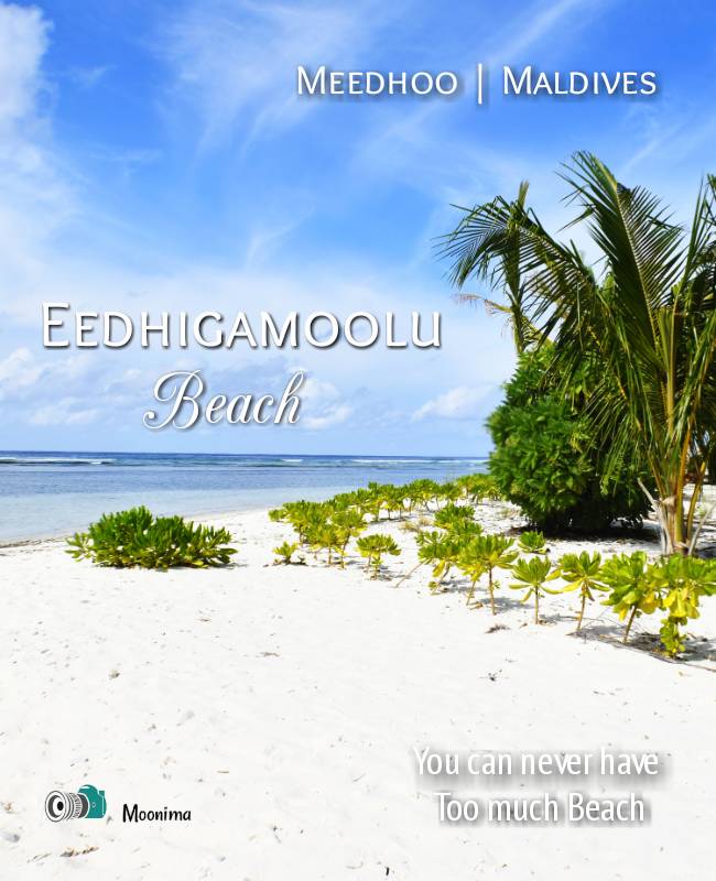 #visitmeedhoo #AdduCity #maldives #islandlife #budgettravel #travel #vacation #beachholiday #scubadiving #sunnysideoflife #charmingholidaylodge