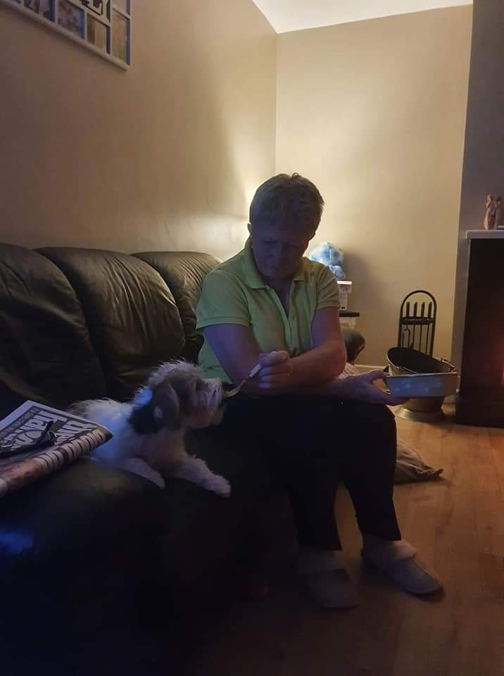 louthspca's tweet photo. Pepsi came to us in a very bad way and has been diagnosed with PDA, Patient Defective Arteriosis.
Scans, treatment and surgery(if possible) will be expensive, so please give what you can via our Facebook page or our Website and click the Donate Now button.

Thank You So Much🐾❤️ https://t.co/SE1xH4UCUr
