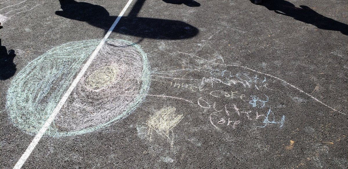 Marisol Razick tweet media