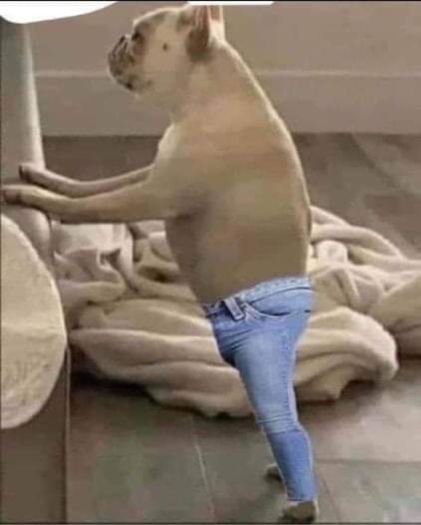 HighKeySan's tweet image. 