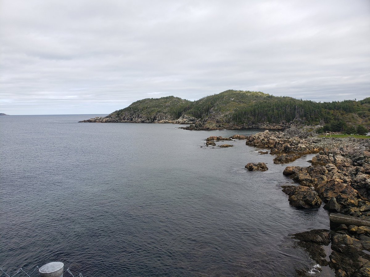 ClappTodd's tweet image. Over 5300 driving kilometers in less than 5 days and hardly traveled a third of you. You never disappoint Canada! Vast and beautiful!
#EastCoast
#Newfoundland
#NowTimeToSleep