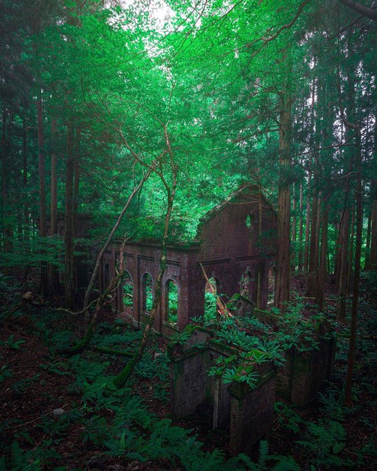 QOPICULT's tweet photo. Abandoned in the woods.. https://t.co/fDEFpvnH3A