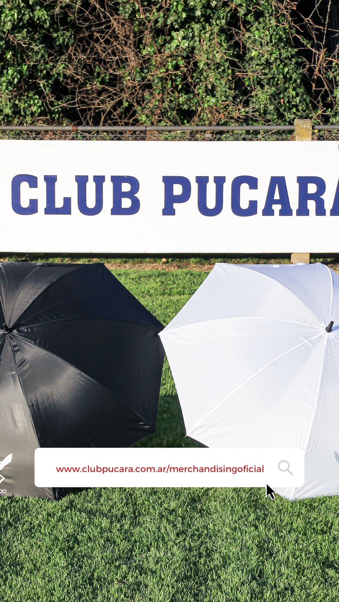 Merchandising Oficial 🔴🔵