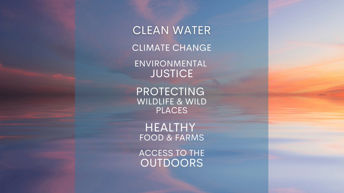 These are the issues our supporters care about most. Over the next 12 weeks, we'll take a deeper dive into each of these issues - highlighting work our member organizations are doing in each area, and ways that you can get involved to ensure that work continues after our closure.