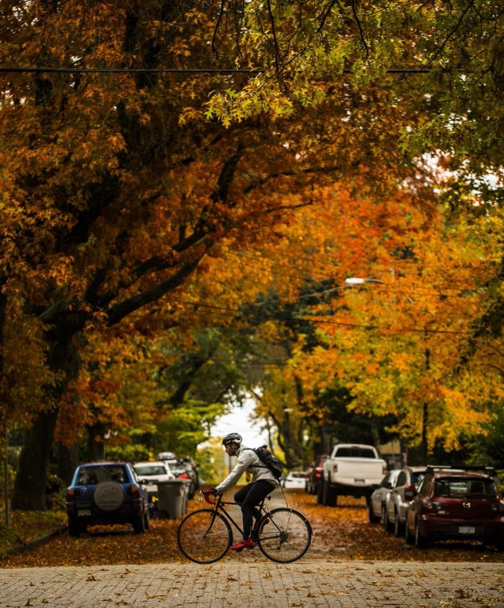 freshtracker's tweet image. Our border is open! So we've created an insider guide to all things Canada. 

ecs.page.link/ps2wB

PC: Destination BC