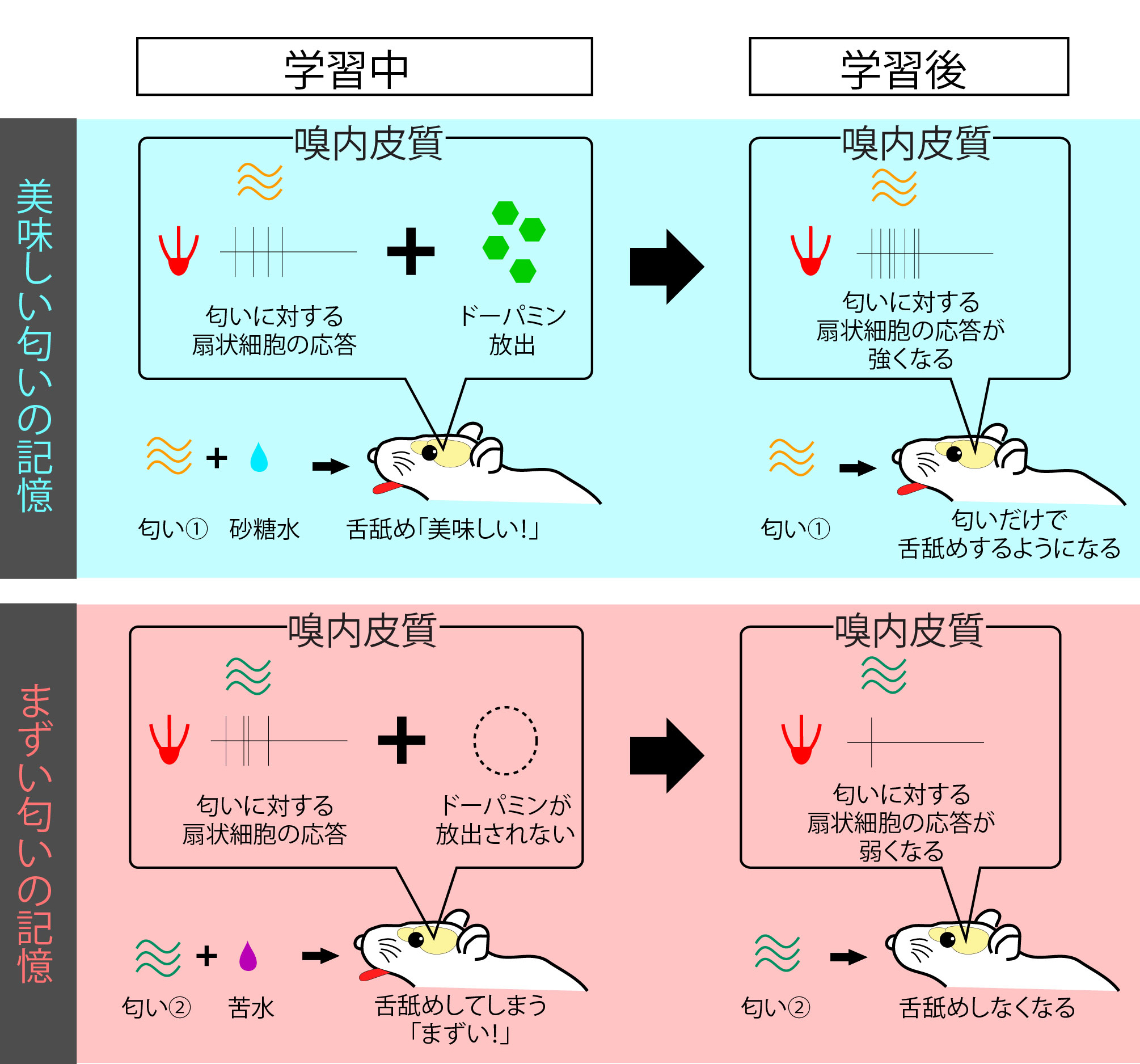 医療原論 : いのち・自然治癒力 医療原論 いのち・自然治癒力/医歯薬出版株式会社