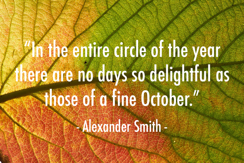 YMCA Blue Water Area tweet media