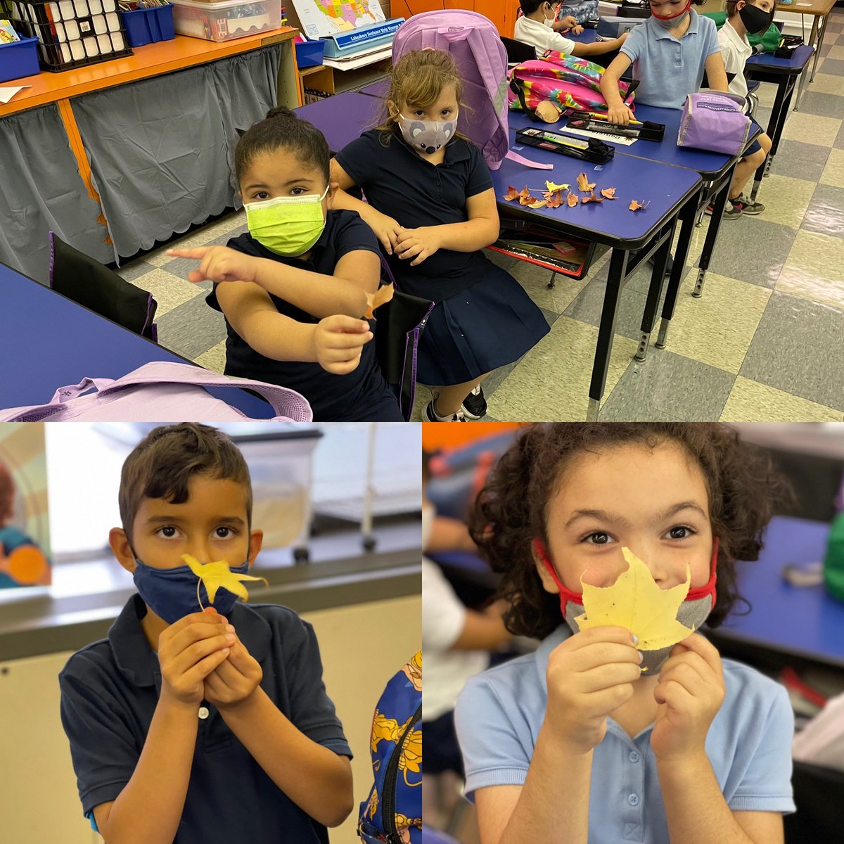 John_Moffet_K_5's tweet photo. Ms. Delaney has 113 loving the #NatureSTEM experience. Last week they gathered Autumn leaves and the Hermit Crabs are always a hit. #MoffetPride https://t.co/Nn3NbOqOiP