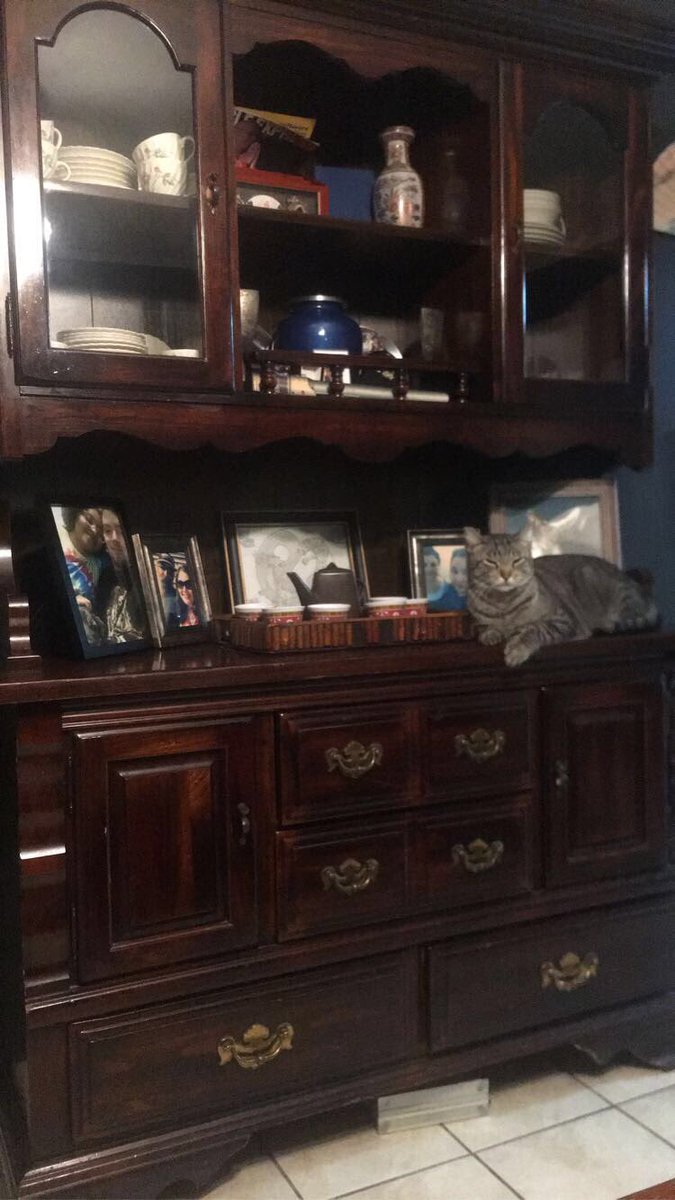 HebertSunshine's tweet photo. McClane thinks he owns the place. :) https://t.co/m2Ydoy9E4z