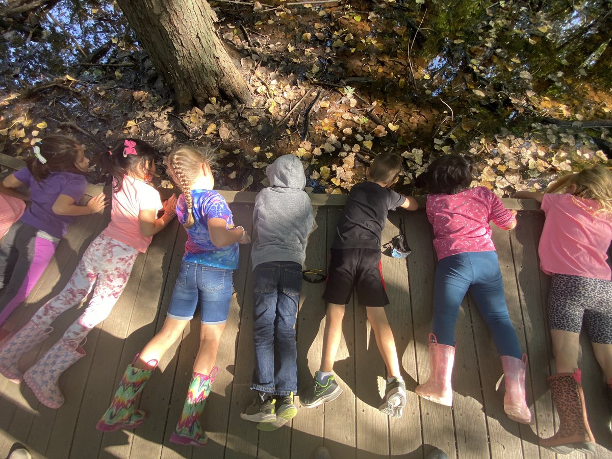 Courtney Cohron tweet media