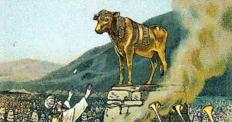 T.C.Assistant tweet media