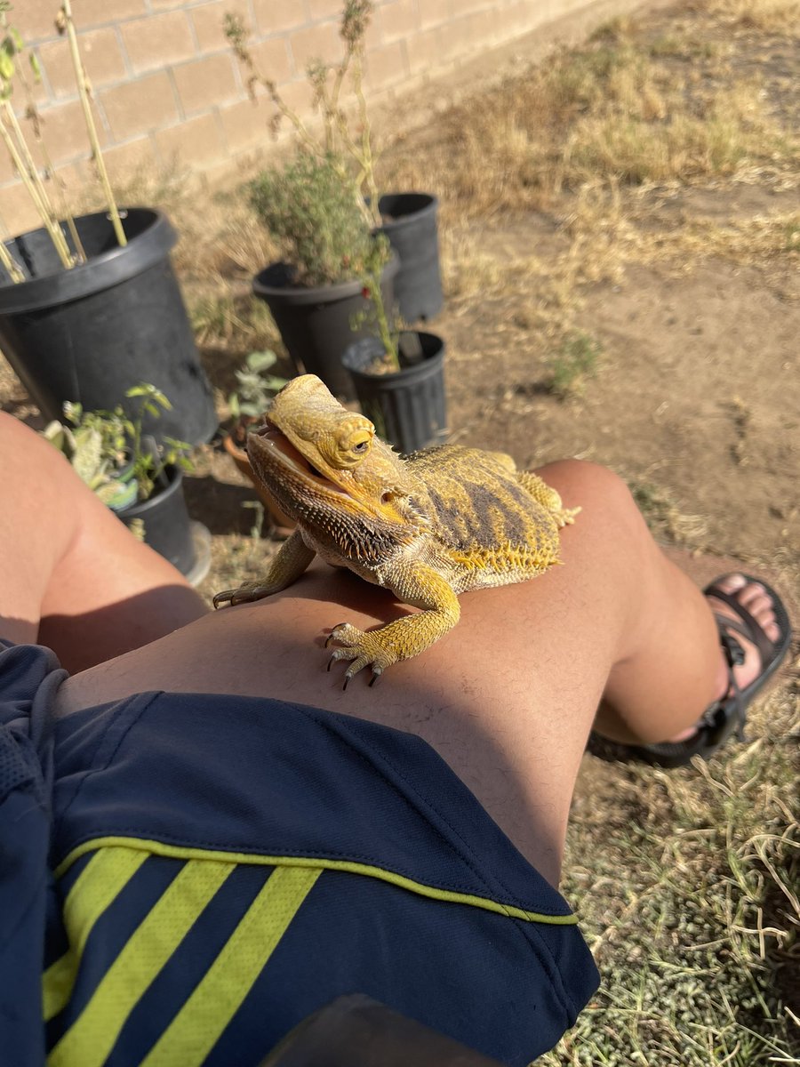 bioassay tweet media