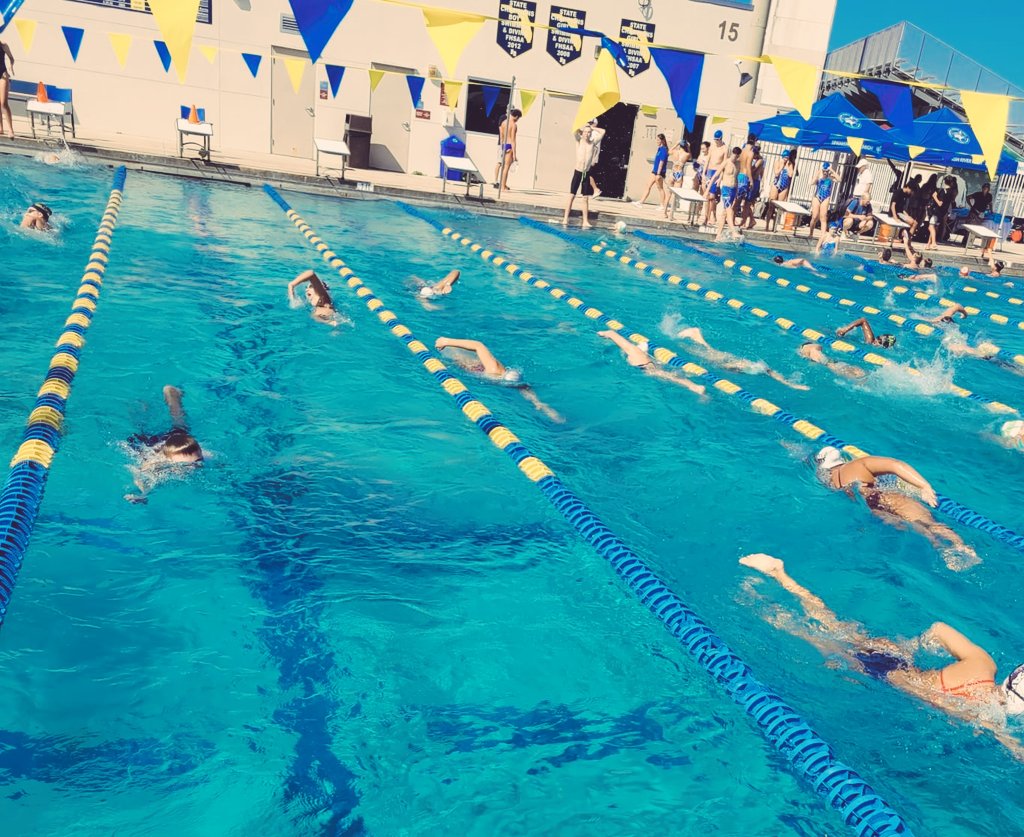 fauhigh_xctf's tweet image. Good luck to our Swim Team today as they compete at the Palm Beach County Meet! #GoOwls