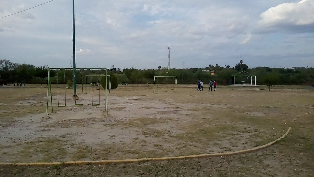 Comenzando trabajos para reforestación