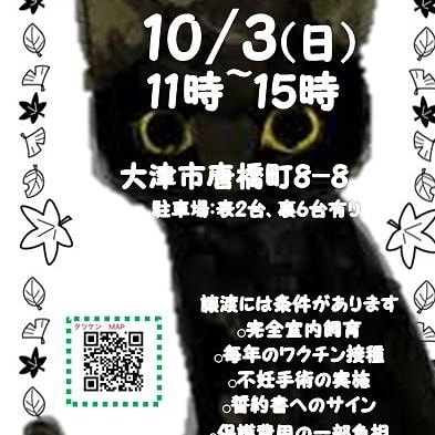 ずっとの家族募集中 ง O ว 滋賀でモルモット 他いろいろ の保護主してます