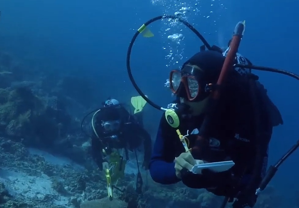 DitKEBP's tweet photo. #SahabatBahari, neraca sumber daya laut merupakan instrumen yang penting untuk mengukur kondisi sumber daya laut di Indonesia secara berkala, termasuk dimaksudkan untuk mengukur dampak investasi terhadap aset laut Indonesia https://t.co/kF0u0NK5Bs