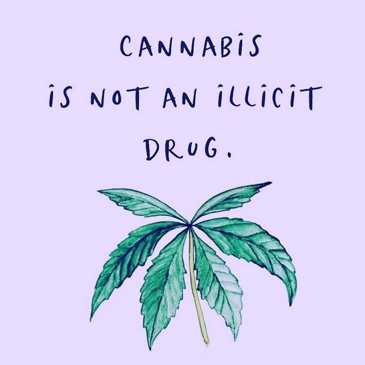 #Cannabis is medicine. It offers benefits but it's not a benign substance. Knowing more about how its uses is imperative to all of our health. We must put a stop to the "illicit drug" stigma so that everyone can discover the benefits of purposeful cannabis consumption.