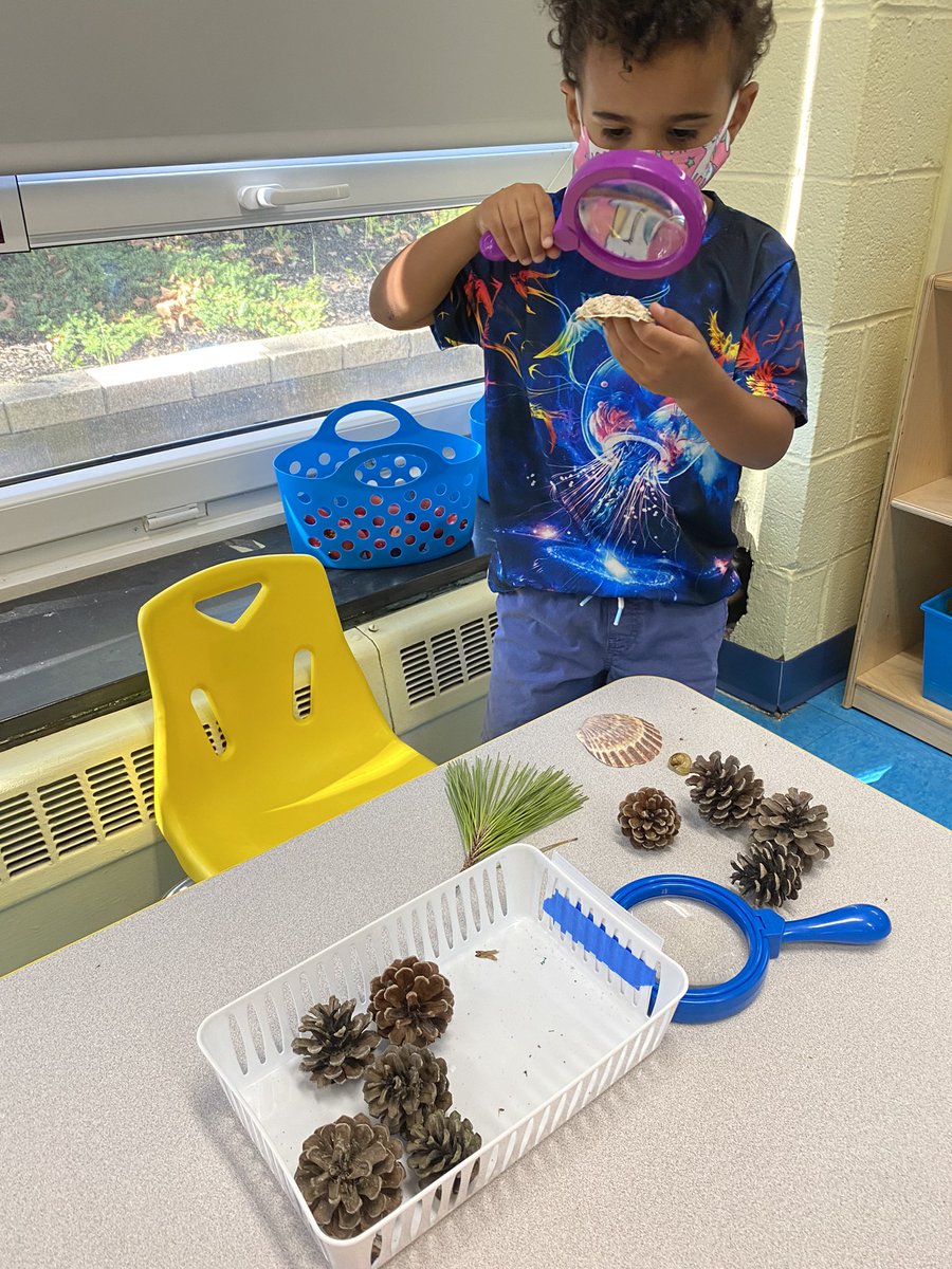 Adams_Preschool's tweet photo. So many things to discover! 🔎 #preschoolpenguins #collsedu https://t.co/OsaVxe3DwS