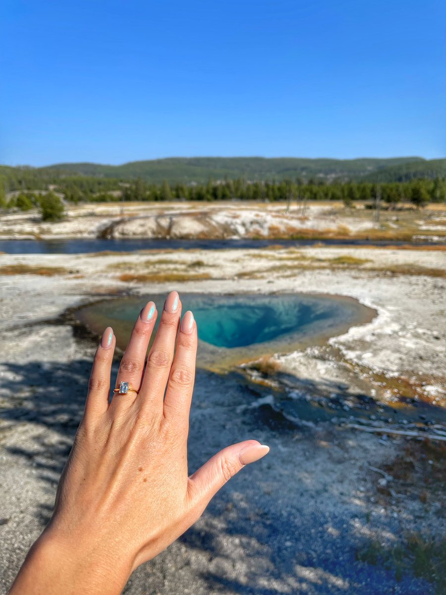 Tabitha Lipkin tweet media