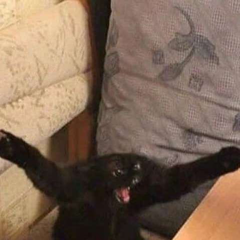 did some birthday shopping <3 my arms hurt sm.