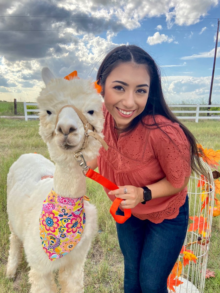 serenamonique_'s tweet photo. Avi + 1 🦙 💕 https://t.co/xYDIisYijm