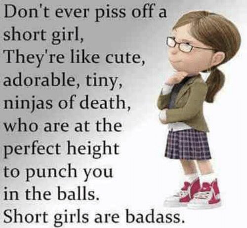 shaunahair's tweet photo. Wise words #shortgirlproblems #smallbutdeadly https://t.co/yz94lbl8JM