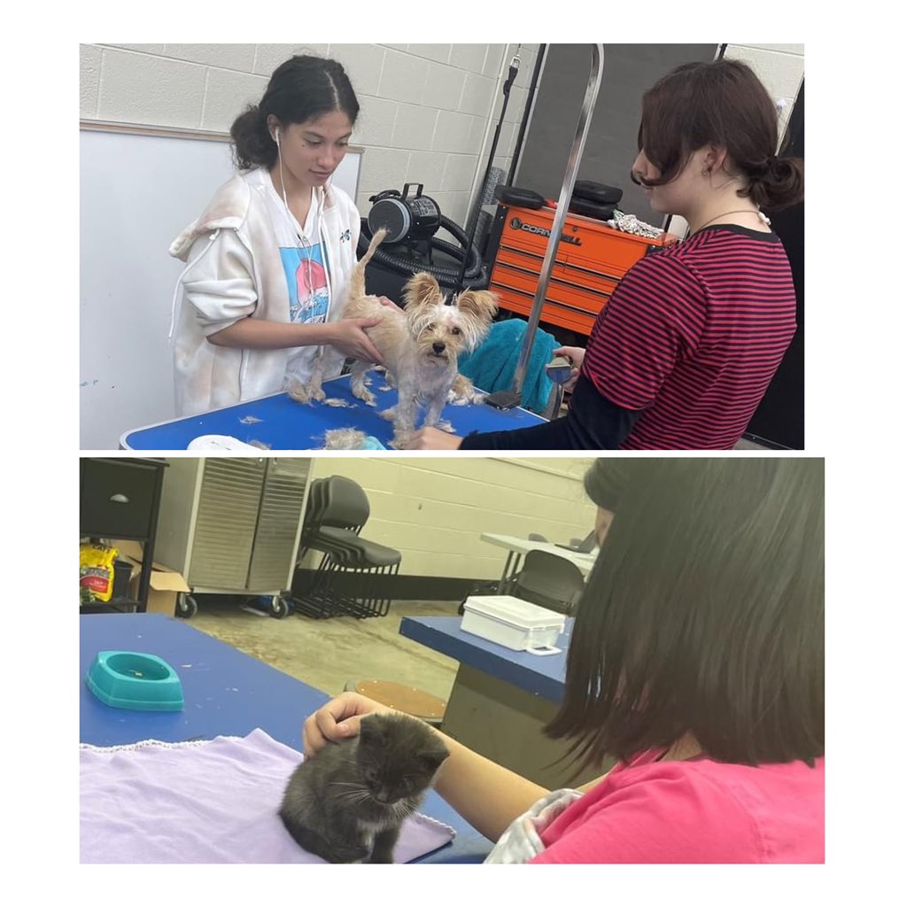 RDAndersonatc's tweet photo. Mrs. Morton's students grooming a small dog and loving on a sweet kitten. We are so thankful to have students with such big hearts.#LearningTodayLeadingTomorrow https://t.co/l3DPWwSYMg