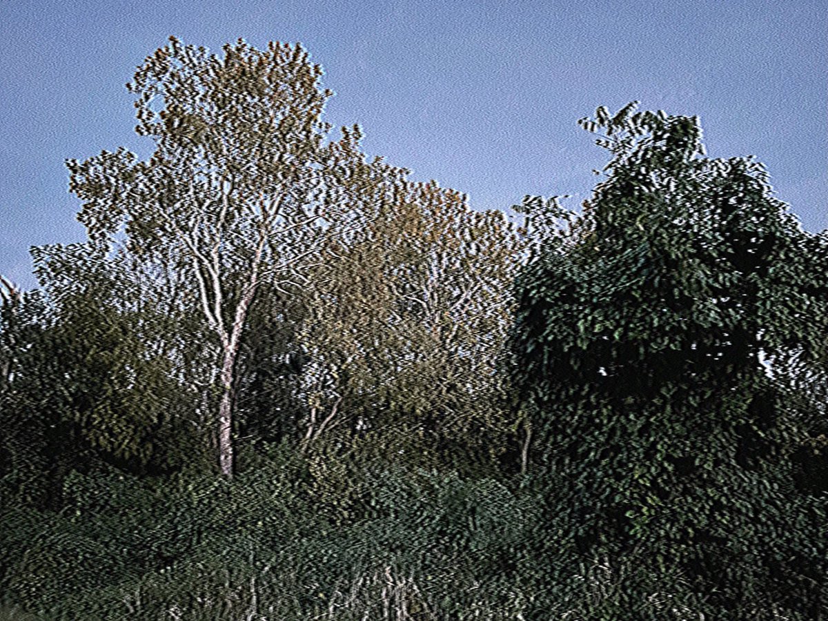 Content from lydia13lich