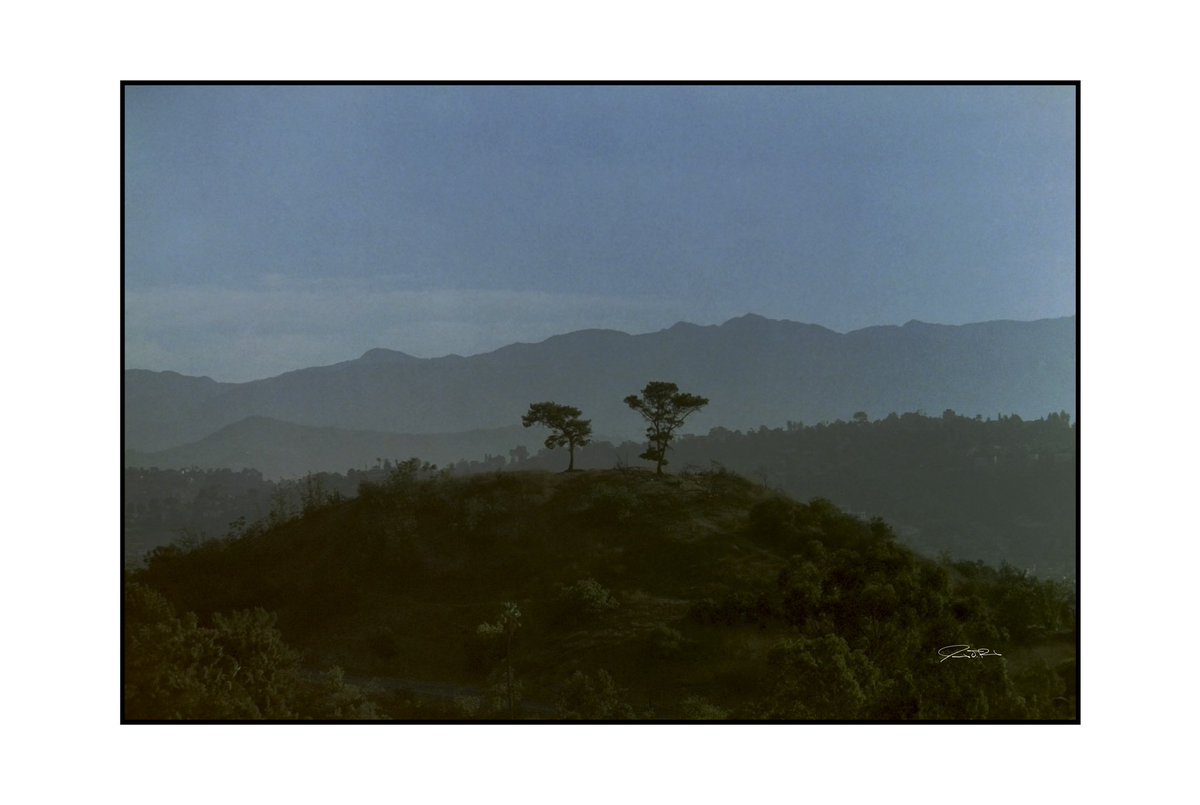 MachineSharkPro's tweet image. Ridges.

7/31/2021

.
.
.

#35mm #35mmfilm #kodak #portra800 #35mmphotography #elysianpark #losangeles #california #wanderlust #travel #travelphotography #filmphotography #film #photooftheday #filmcommunity #shotonfilm #shootfilm #drivebyfilm #streetphotography #madewithkodak