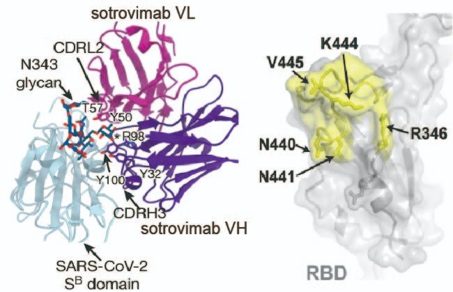 Shin-Ichiro Nishimura tweet media
