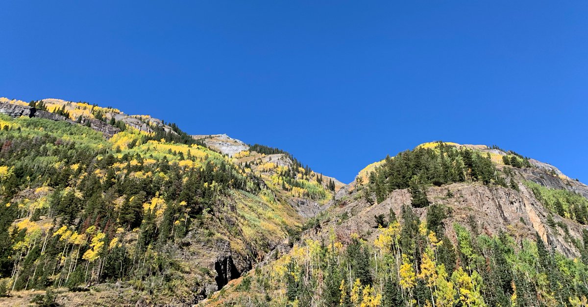 GMUG_NF's tweet photo. Check out these beautiful #FallColors 🍂on Red Mountain Pass from September 22. Colors are vibrant and beautiful!
#GMUGFallColors #BringNatureInside #colorfulcolorado #ExperienceYourNature
Photo credit: Matt Englebert https://t.co/4BWBNaF9LT