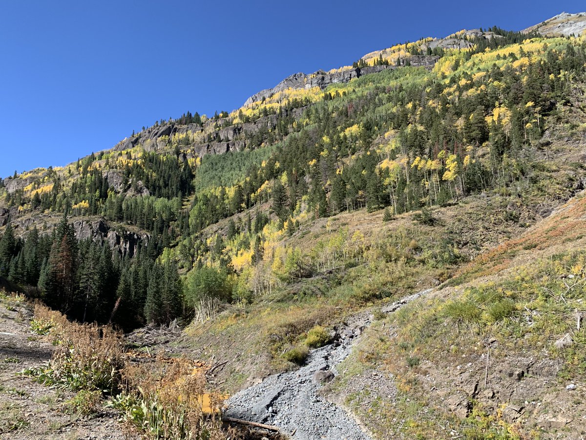 GMUG_NF's tweet photo. Check out these beautiful #FallColors 🍂on Red Mountain Pass from September 22. Colors are vibrant and beautiful!
#GMUGFallColors #BringNatureInside #colorfulcolorado #ExperienceYourNature
Photo credit: Matt Englebert https://t.co/4BWBNaF9LT