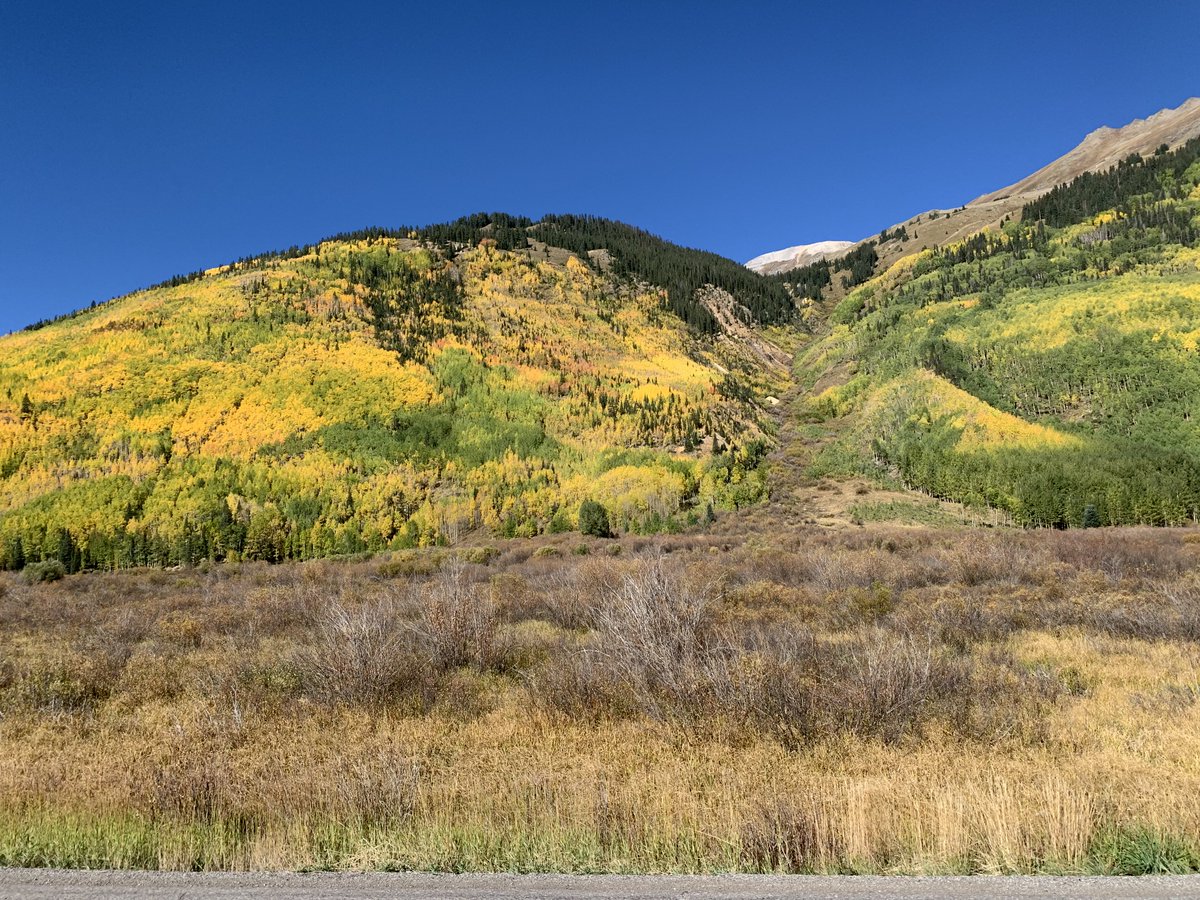 GMUG_NF's tweet photo. Check out these beautiful #FallColors 🍂on Red Mountain Pass from September 22. Colors are vibrant and beautiful!
#GMUGFallColors #BringNatureInside #colorfulcolorado #ExperienceYourNature
Photo credit: Matt Englebert https://t.co/4BWBNaF9LT