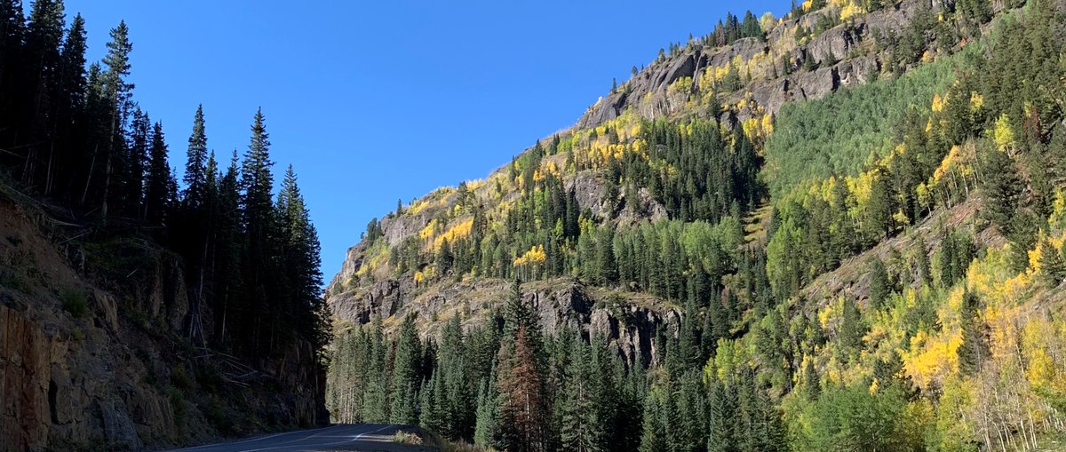GMUG_NF's tweet photo. Check out these beautiful #FallColors 🍂on Red Mountain Pass from September 22. Colors are vibrant and beautiful!
#GMUGFallColors #BringNatureInside #colorfulcolorado #ExperienceYourNature
Photo credit: Matt Englebert https://t.co/4BWBNaF9LT