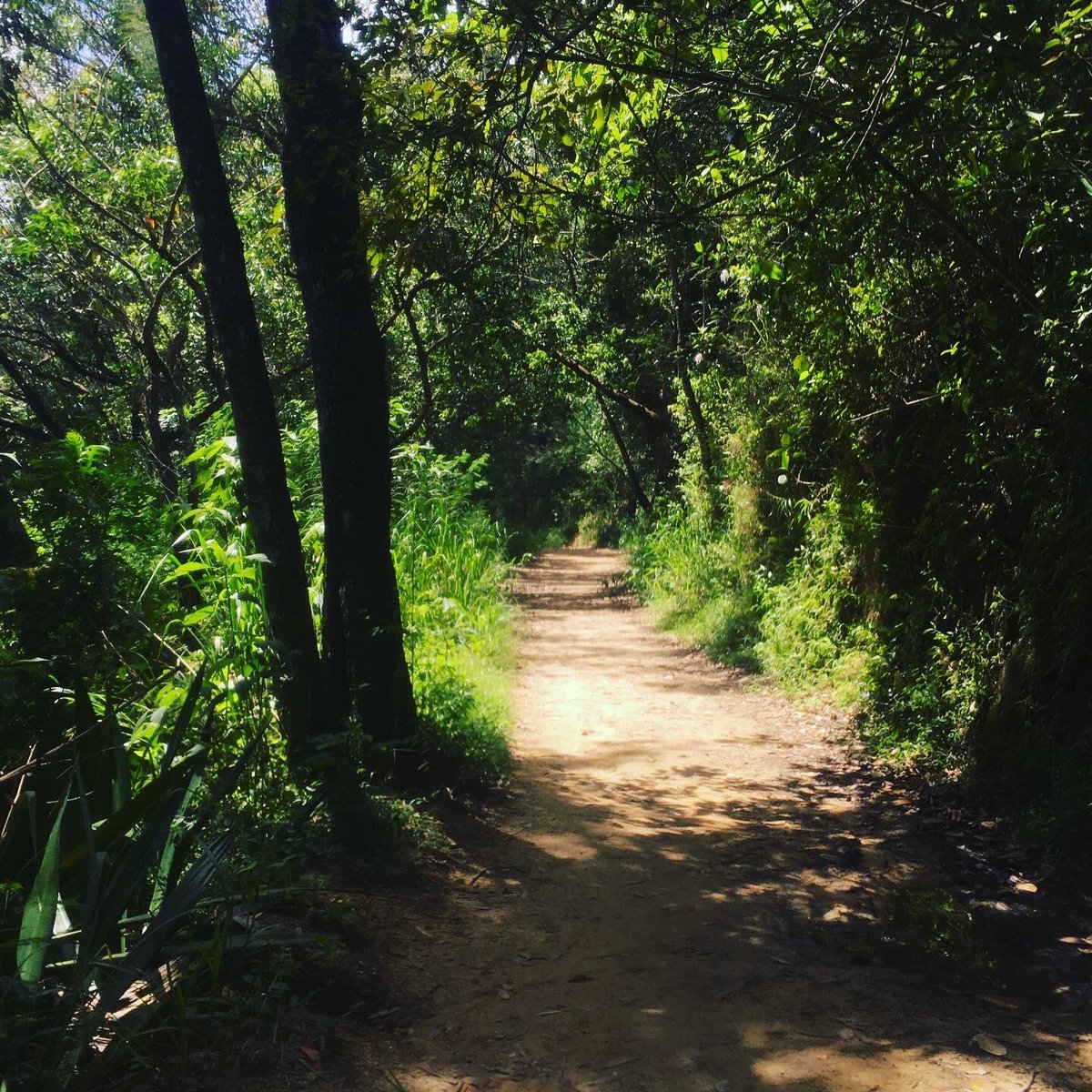 saairam's tweet image. #Avila #cortafuego