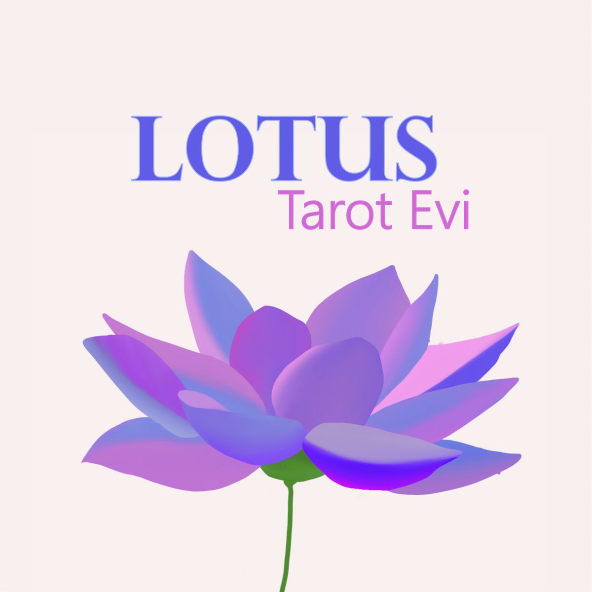 LotusEvi's tweet photo. #YeniProfilResmi https://t.co/QH0VF4pNM8