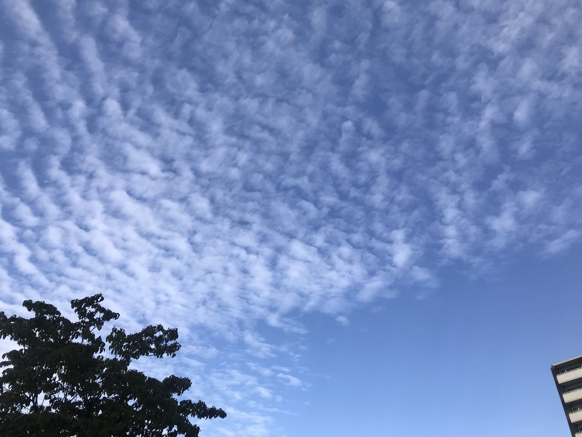 おはようございます。名古屋の朝は、爽やかな秋空になりました。ヤスイ質店、今日も元気に営業しています！
yasui78.com