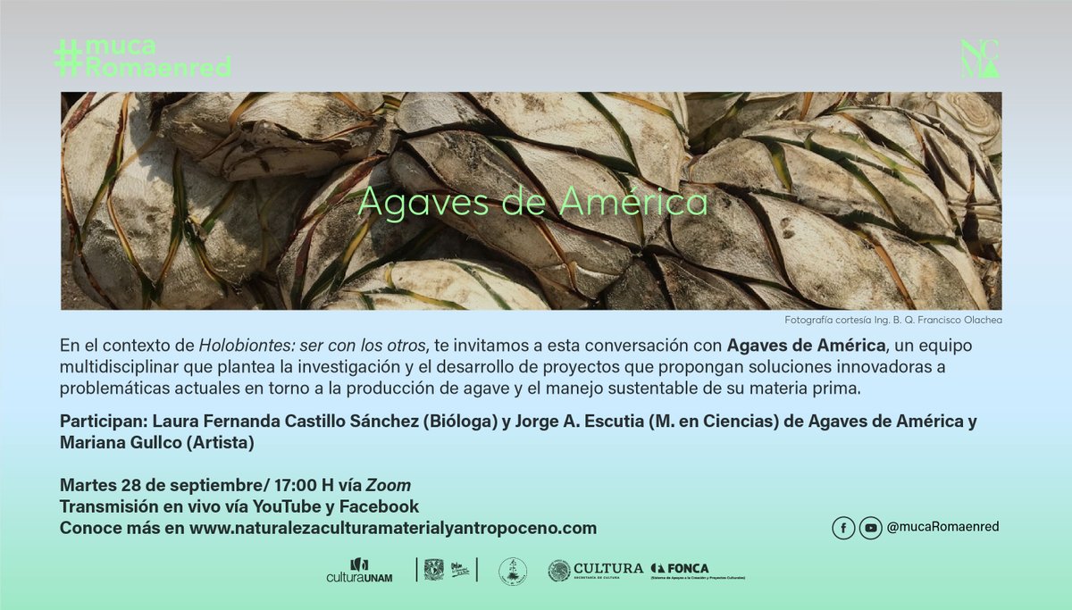 Agaves de América, un equipo multidisciplinar que plantea la investigación y el desarrollo de proyectos que propongan soluciones innovadoras a problemas actuales en torno a la producción de agave y el manejo sustentable de su materia prima.

➡️Mañana 5pm vía YT y Fb

#Holobiontes