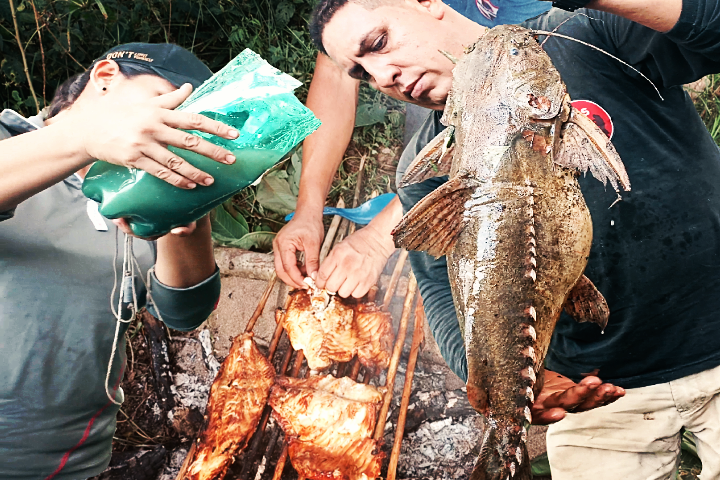 NachitoAventur1's tweet photo. Pesca Monstruosa #Armado y #Cocina Sierra Copora #Choncho #caboje #Matac... https://t.co/EgNjveGrxj a través de @YouTube 

🎣👌📌 amigos de Nachitoaventuras 28/09/2021 a las 09:30 horas Colombia, se estrena nuevo video, esta lleno de aventuras https://t.co/rdIP9mujmh https://t.co/4uzQjCpbG8