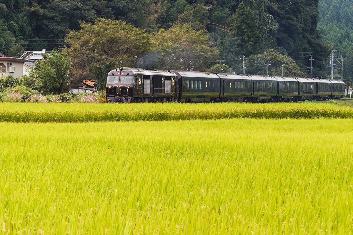 AAG_Railroad's tweet photo. 本当なら今頃は九州へ行っていたはずなのですが、コロナで仕事が飛んでしまいました。
なので、過去のストックから。
#ななつ星 #ななつ星in九州 #九大本線

#鉄道のある風景 #鉄道風景  #鉄道ファン
#鉄道写真好きな人と繋がりたい

 #traingram  #traingallery_ig
#train_vision #trainphotograph https://t.co/547HPHg7xF