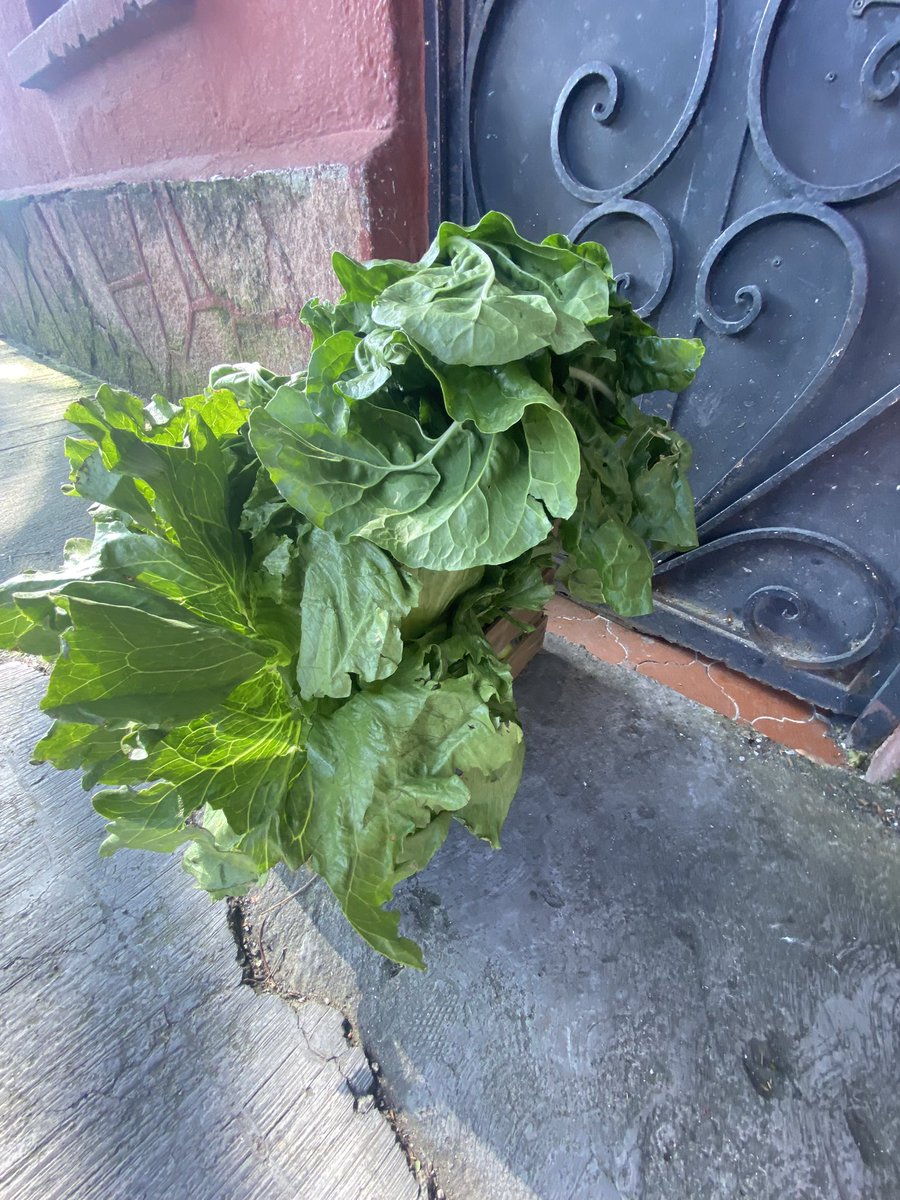 EscapadasM's tweet photo. #Huacalitoscdmx REALIZA TU PEDIDO A TEAVES DE #WhatsApp PRÓXIMA ENTREGA VIERNES 1 Y SÁBADO 2 DE #Octubre https://t.co/bLoIEmWsvG #CDMX #Alamos #coyoacan #narvarte #portales #colcondesa #colroma #napoles #iztacalco https://t.co/rqTDtM1Ml3