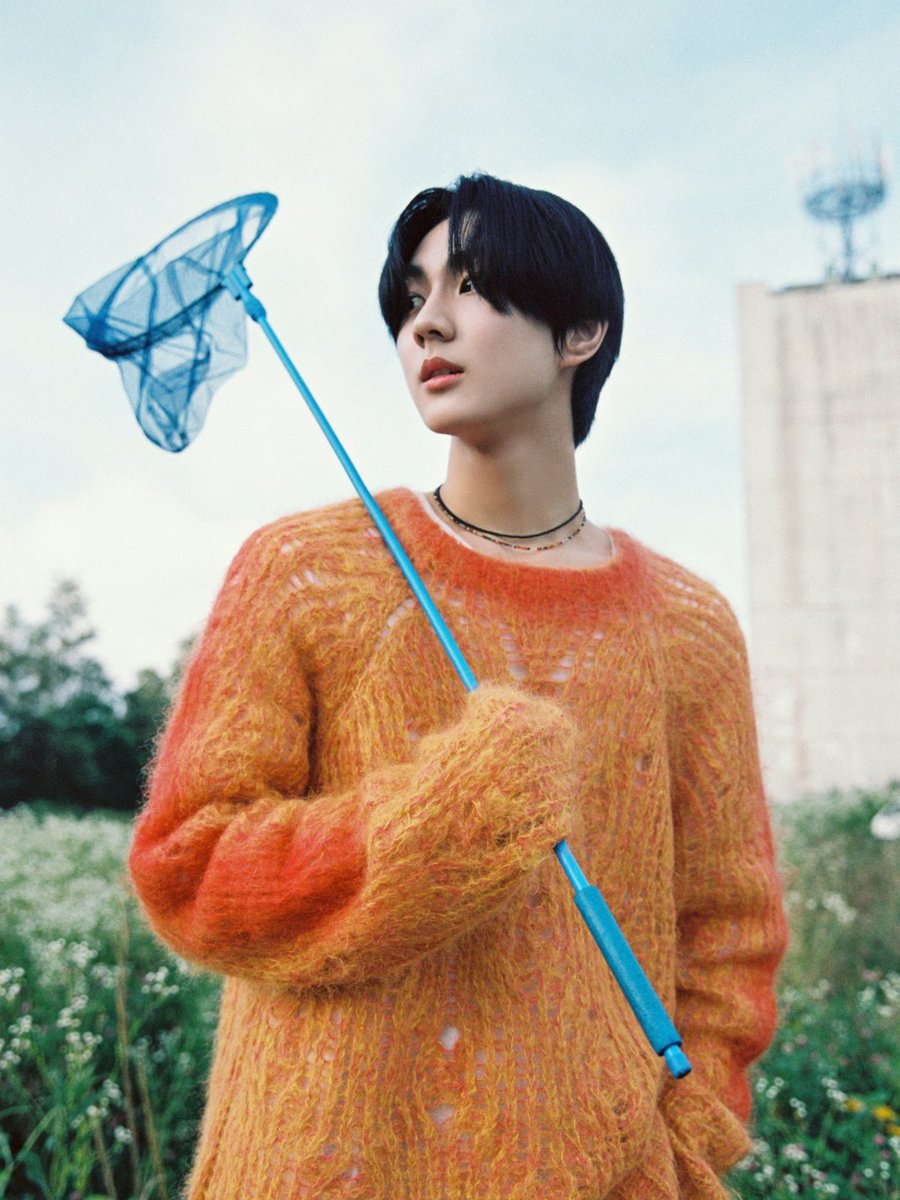 비B도D리X베B tweet media