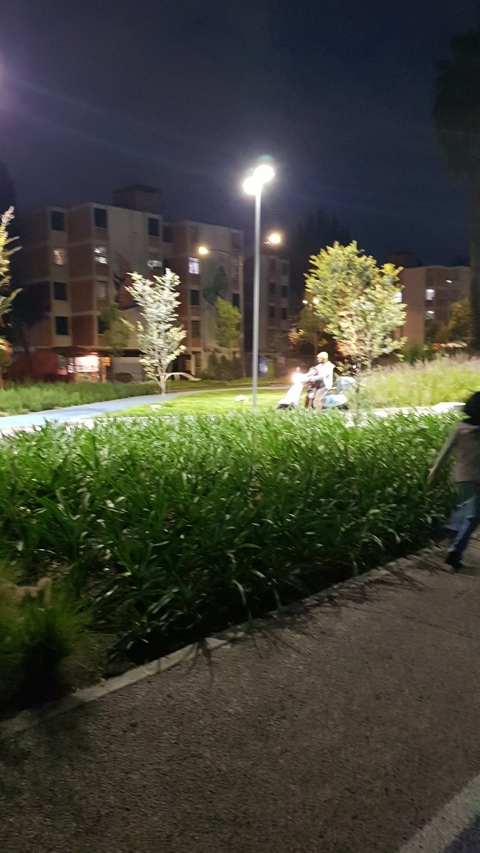 iztapalapaUHVG's tweet image. Continúan las pistas de motos y motonetas en Parque Lineal Periférico Oriente @ClaraBrugadaM @Claudiashein @Alc_Iztapalapa @Alc_Iztapalapa @OVIALCDMX @UCS_GCDMX @unidadvguerrero @vozdeiztapalapa @IztapaCiudadana