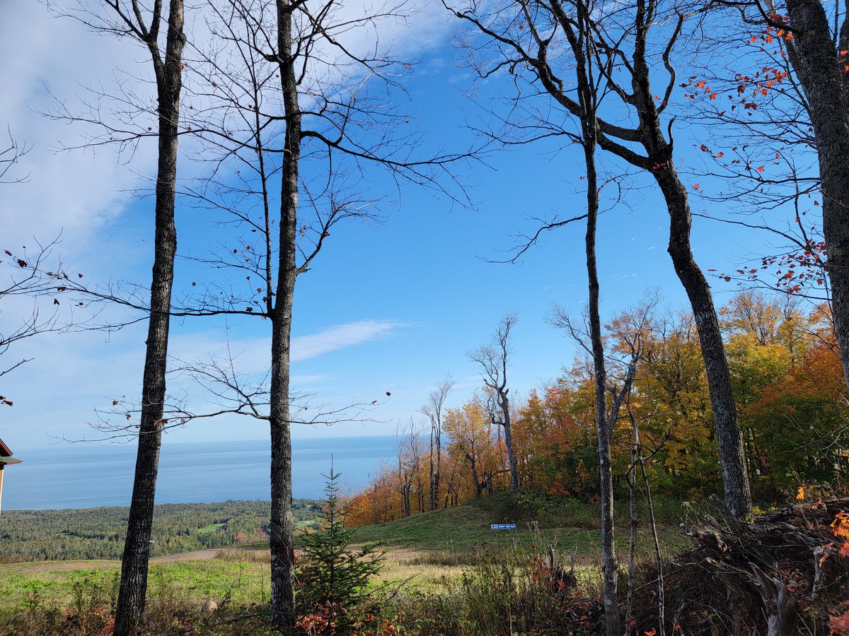 DawnoftheDew's tweet photo. Northern Minnesota has some of the most beautiful fall colors anywhere. So much beauty! #Lusten #MinnesotaFall #NorthShore https://t.co/uq27LAnsGw