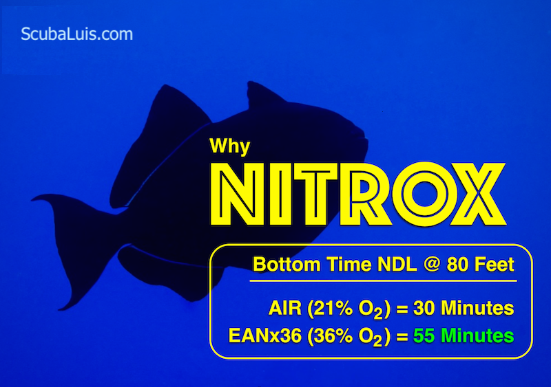 There are many reasons to dive enriched air NITROX. Getting your PADI EAN certification is MUCH faster and easier than you might imagine!

Learn more about diving Nitrox with ScubaLuis ><(((º>  scubaluis.com/padi-enriched-…

#Cozumel #scuba