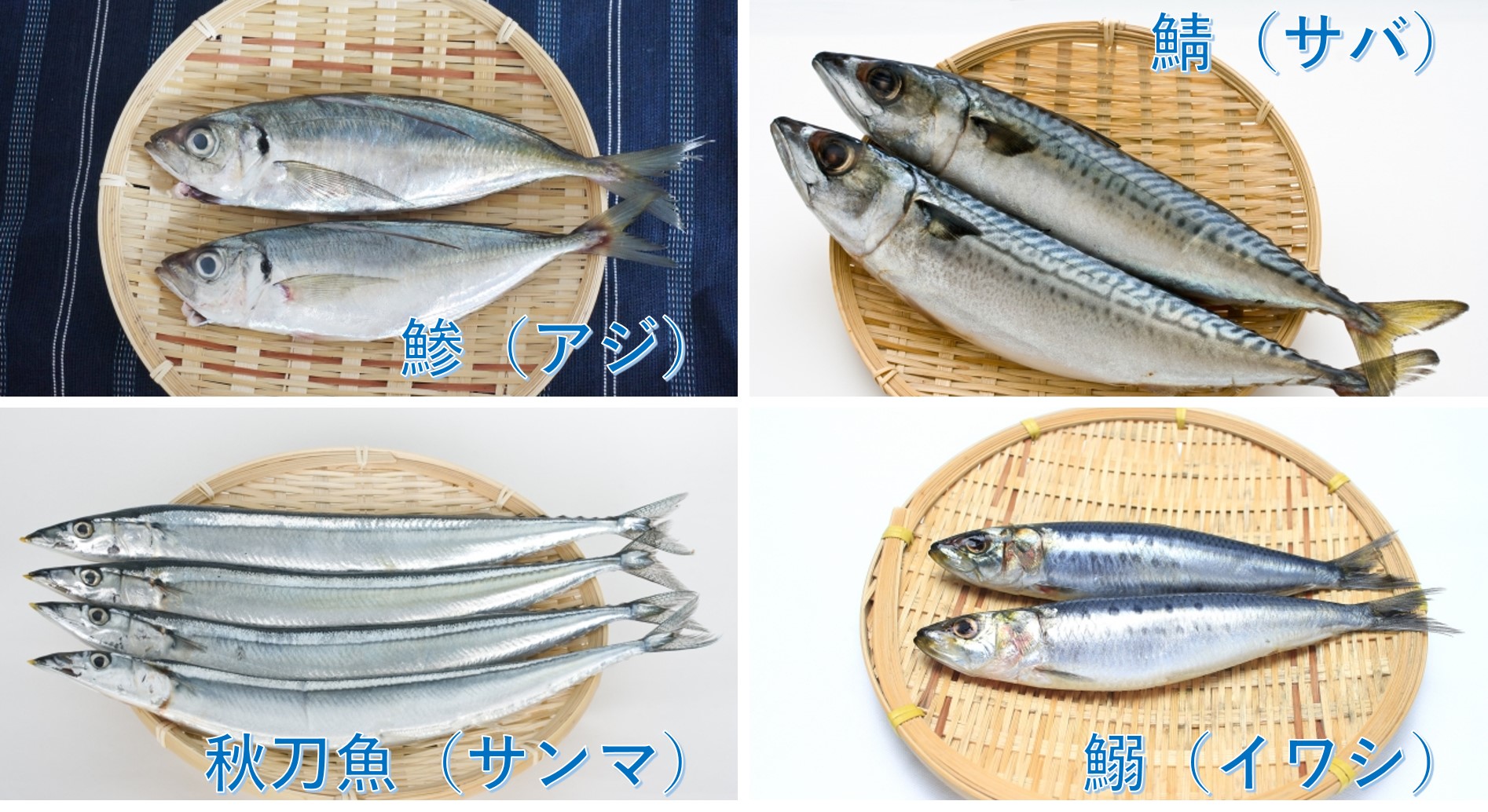 農林水産省 食欲の秋 ですね 皆さんの食卓に登場するイワシ アジ サバ サンマ等は水産庁による資源調査 評価の対象となっており 科学的データを基に資源管理を行っています 美味しい旬の魚をこれからも食べられるようにするため 資源の維持 回復