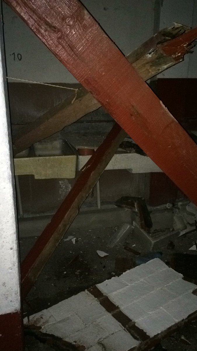 Osvaldo Lizárraga tweet media