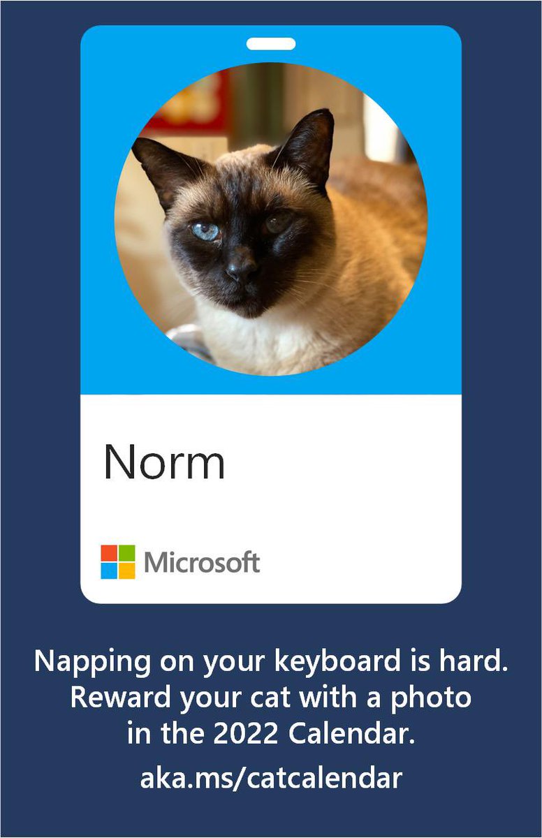 You know this face- he’s our profile cat, Norm. He’s 17 years young and enjoys catnip and keyboard naps. #catsofmicrosoft
