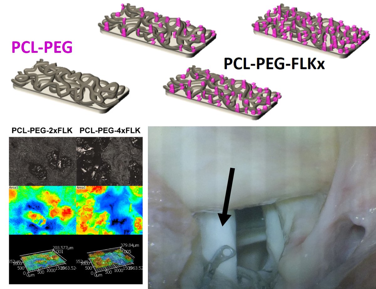 <a href="/Solaleh_Miar/">Solaleh Miar</a> - isn't it great to see PhD projects move to translation: from idea - to concept - to paper... To practice?! 
Great working on solutions to pressing challenges with <a href="/diongr/">Greg Dion</a> !! Look forward to further development!